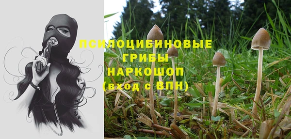 скорость Абинск