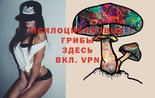 spice Алзамай