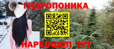 соль ск Аргун