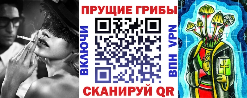 сколько стоит  Кизилюрт  Псилоцибиновые грибы MAGIC MUSHROOMS 
