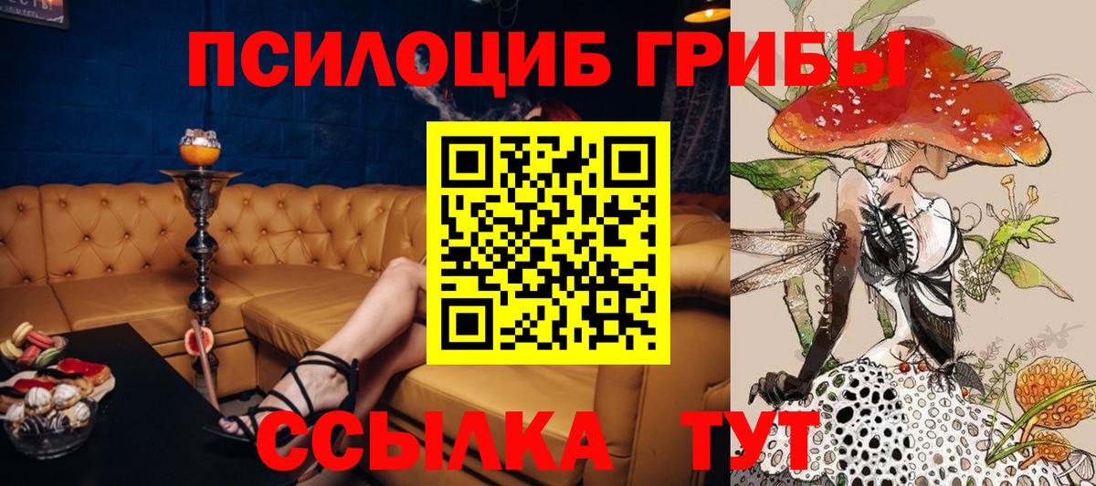 Кизилюрт  Галлюциногенные грибы GOLDEN TEACHER  Галлюциногенные грибы Magic Shrooms  Вход с VPN 